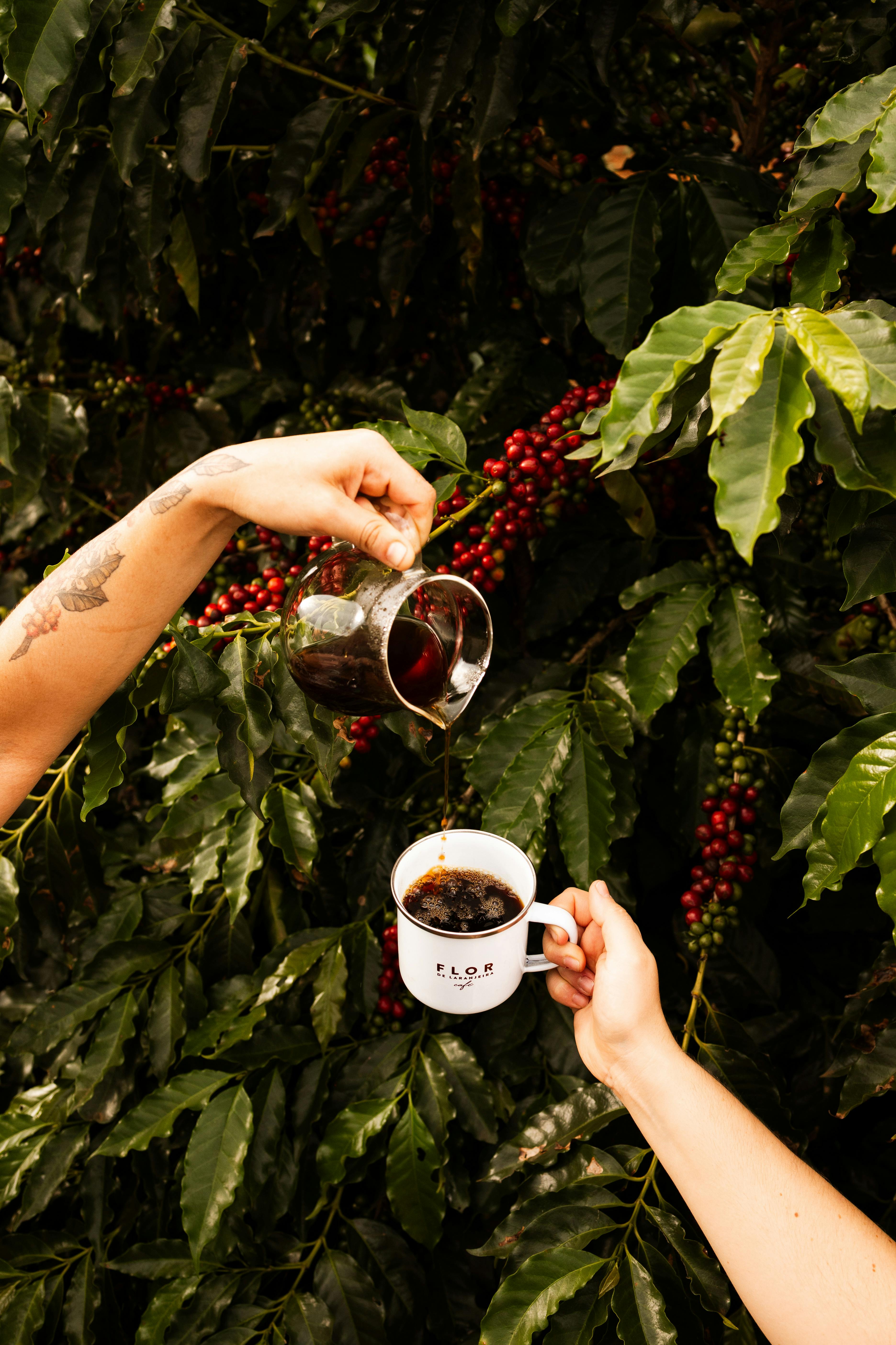Café de Colombie